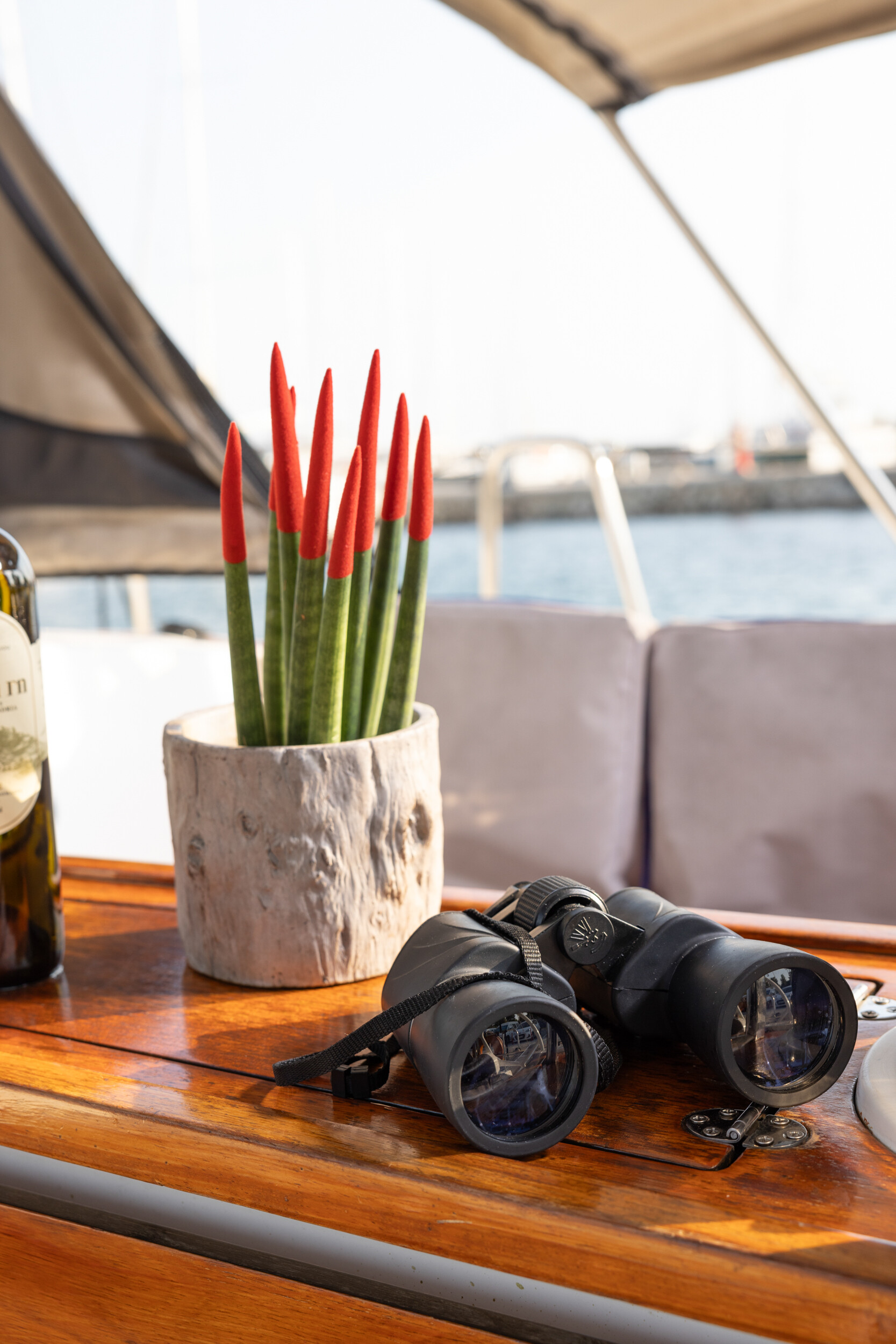 Bavaria Cruiser 37, Marlo