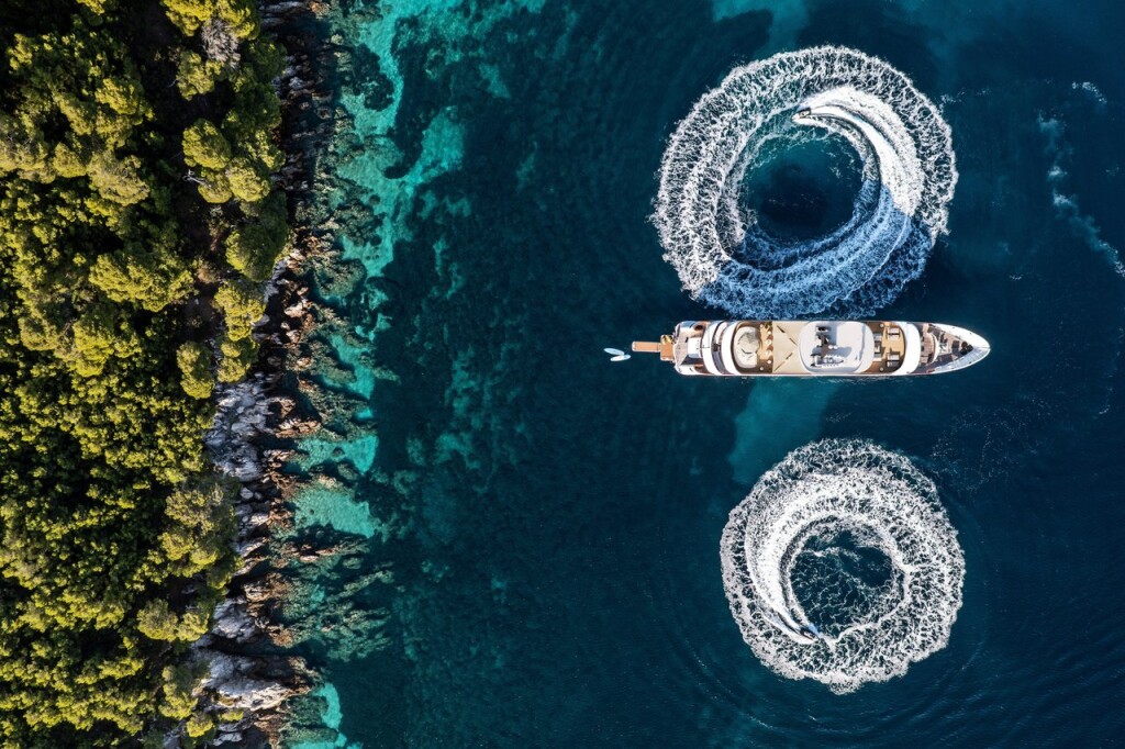 MY Custom Black Swan, Black Swan