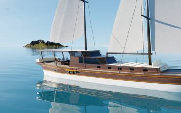 Patronice, Patronice