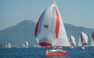 Salona 41, Race Dog