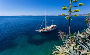 Summer Princess, Summer Princess